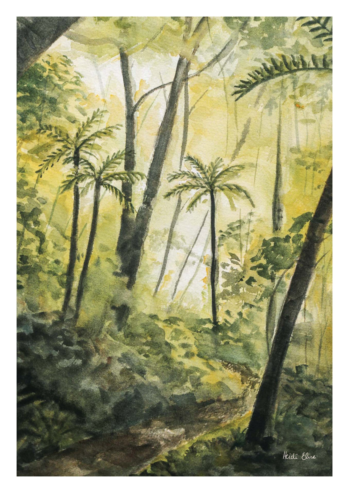 Forest Walk