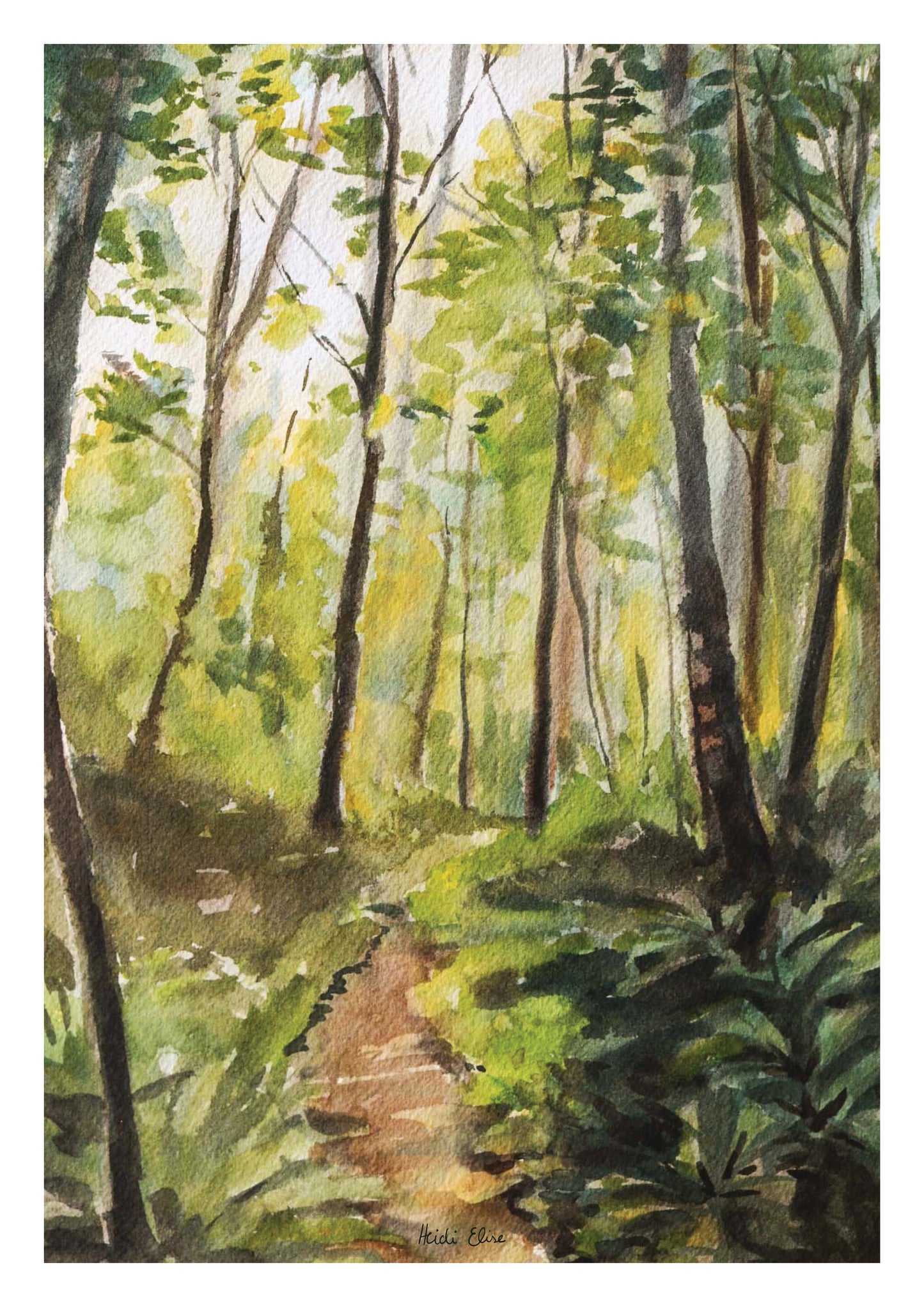 Sun-kissed Forest Path