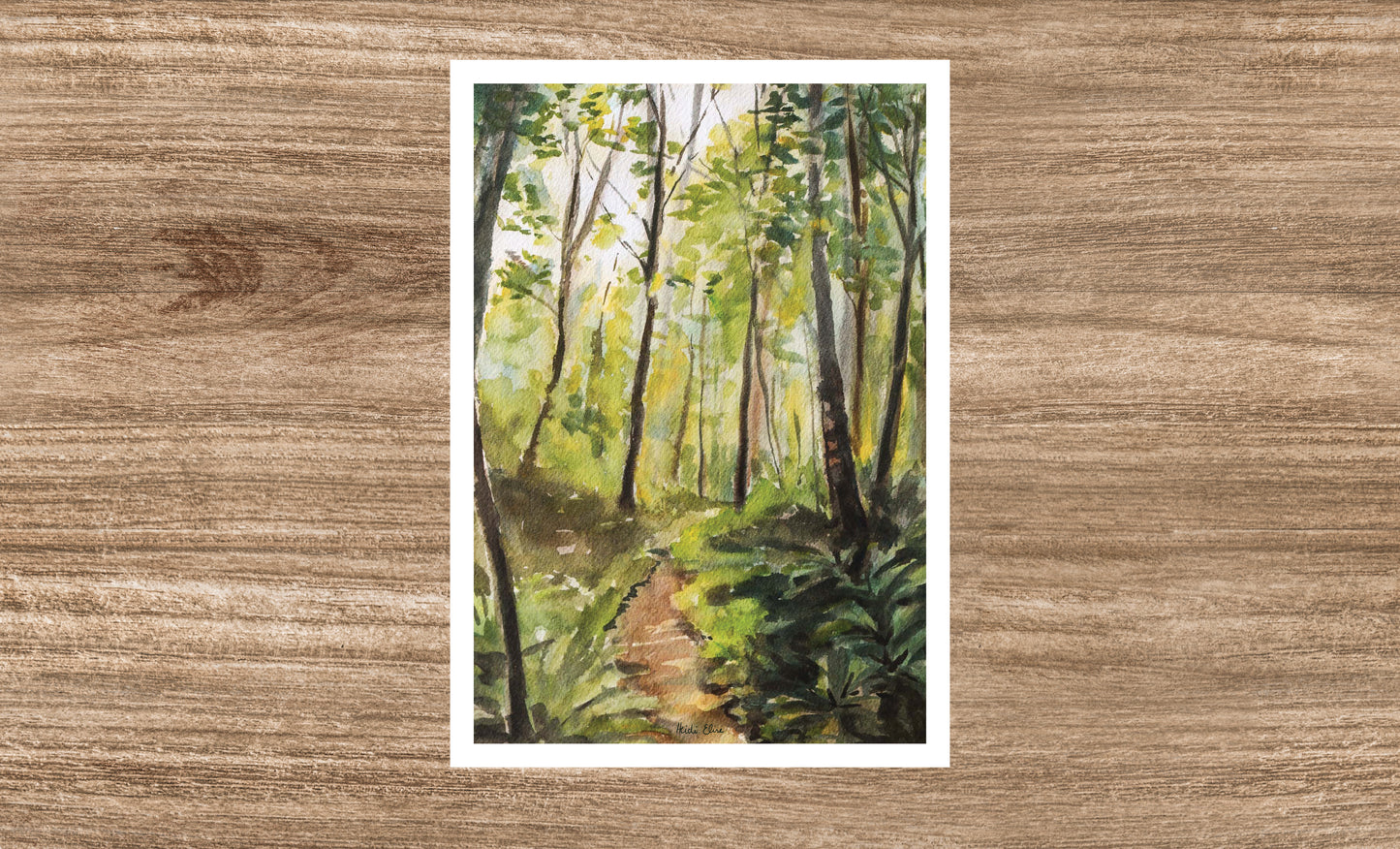 Sun-kissed Forest Path