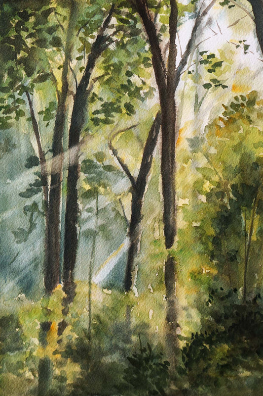 Morning Forest Original Watercolour