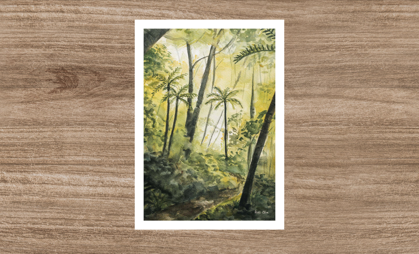Forest Walk