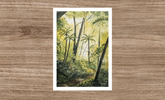 Forest Walk